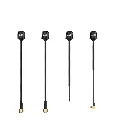 scaled aagosh.in.webp